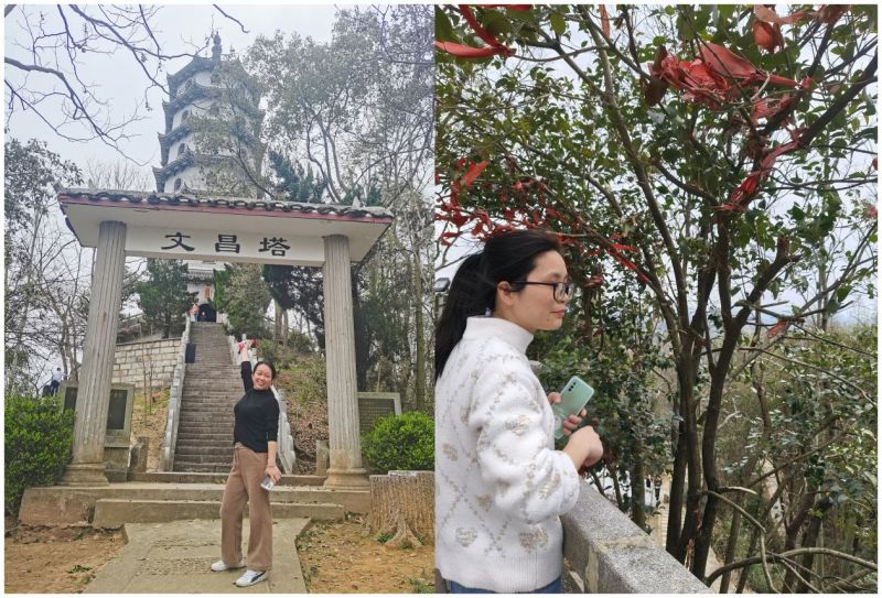 ŷ½ע�����