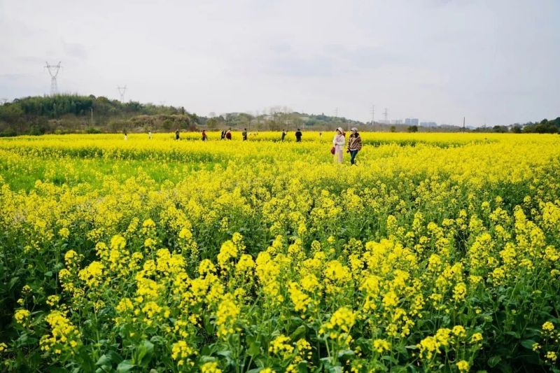 ŷ½ע�����